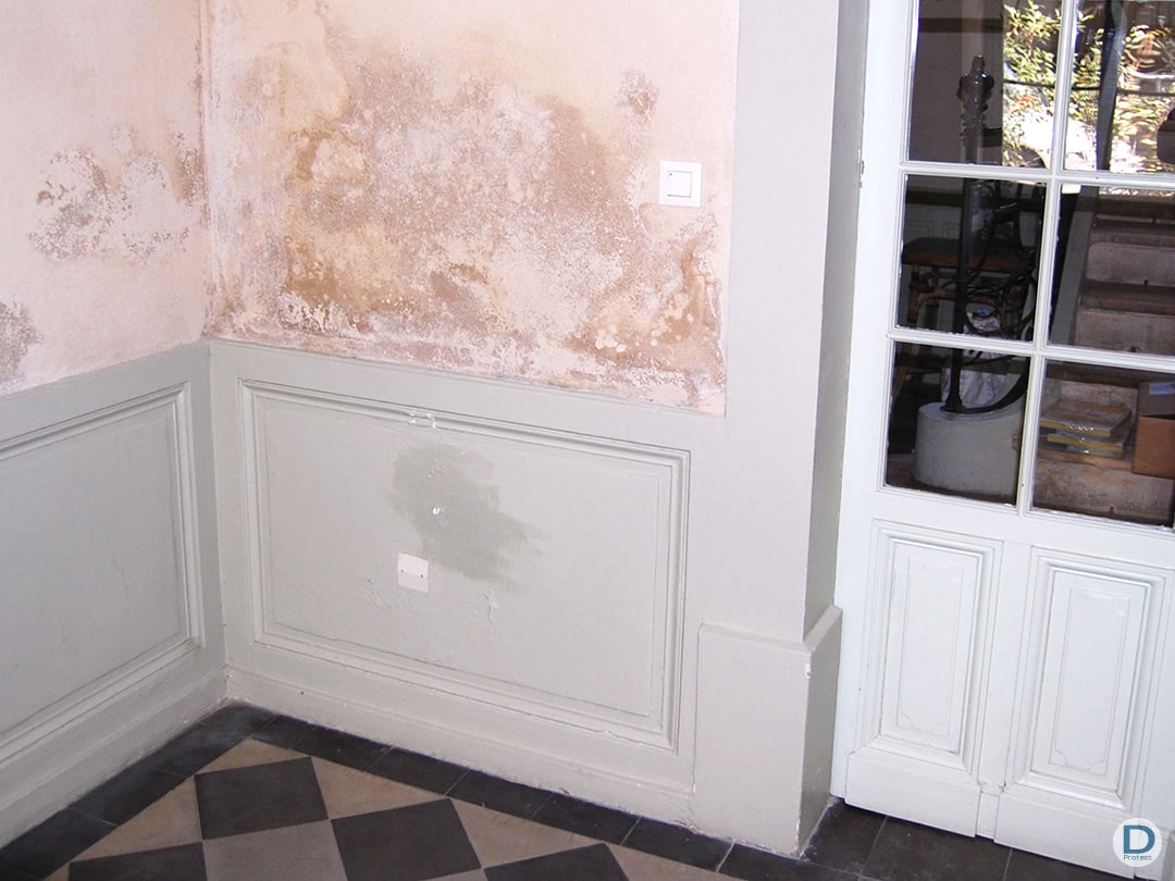 entreprise maitrise humidité ascensionnelle présence humidité 1m hauteur liège brabant wallon