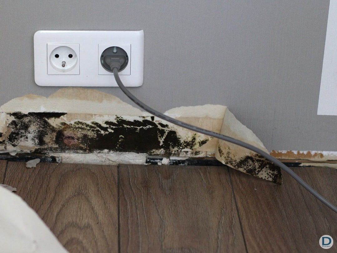 entreprise maitrise humidité ascensionnelle risque intérieur bâtiment prise électrique liège brabant wallon